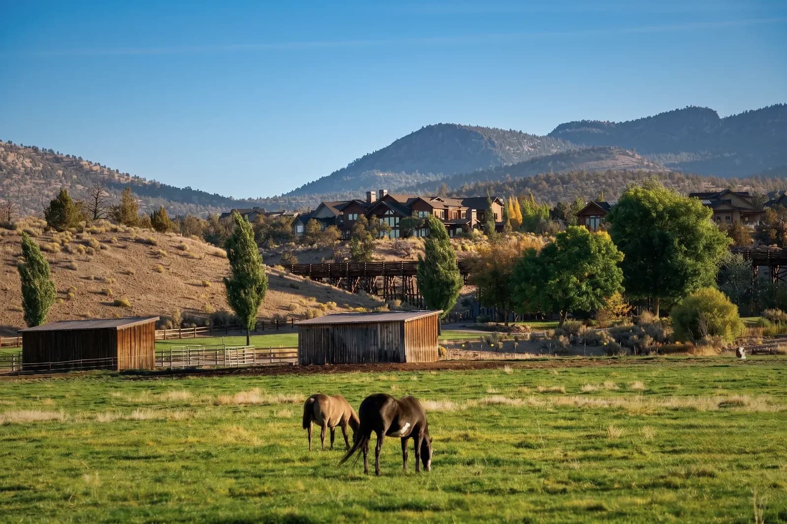 Horses grazing at Brasada Ranch near Bend, Oregon, with a luxury lodge and Cascade Mountains in the background