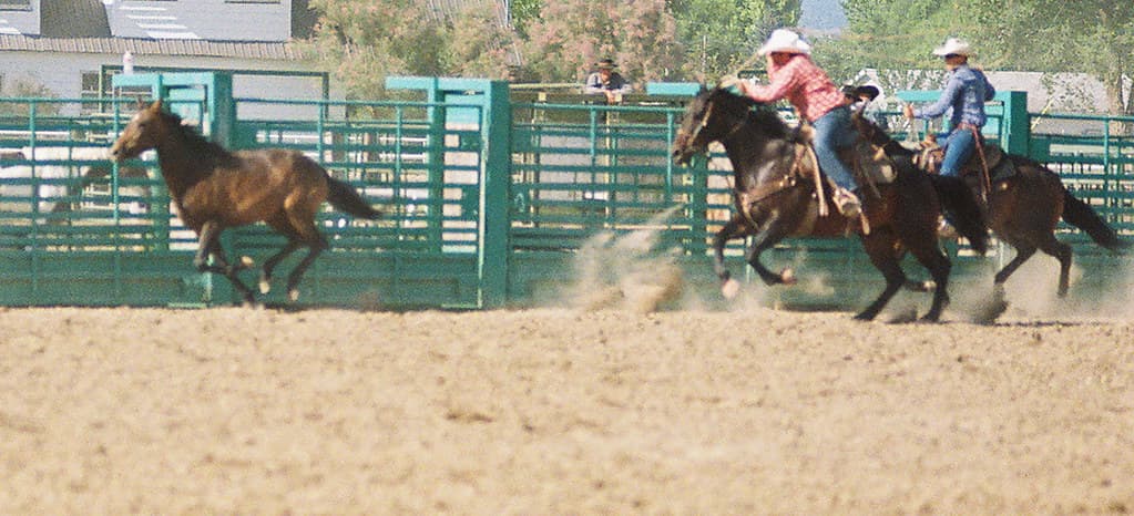 Chasing down a horse, Harney County Oregon Horse Tripping rodeo event